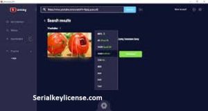 Ummy Video Downloader Crack + Keys [PC/Windows/Mac OS]