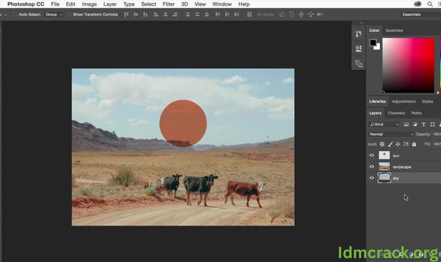 Adobe Photoshop Crack Screenshot 1