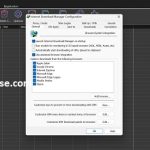 IDM 6.42 Serial Key