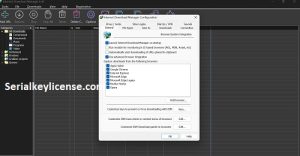 IDM 6.42 Serial Key