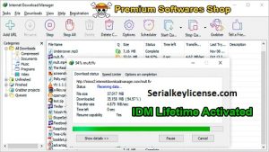 Internet Download Manager Crack