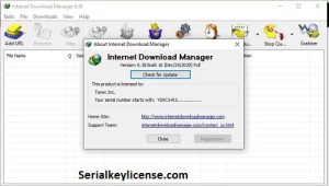 Internet Download Manager Crack